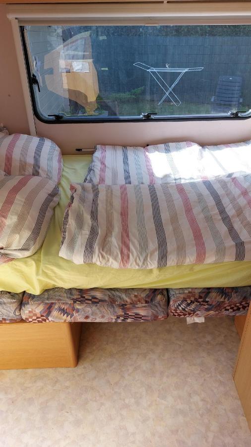 Urlaub Machen Direkt Am Irland Das Kinderparadies In Twisteden Im Grossen Garten Bei Privatleute Fur Maximal Sechs Personen Kevelaer Εξωτερικό φωτογραφία