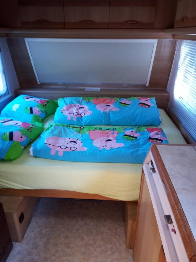 Urlaub Machen Direkt Am Irland Das Kinderparadies In Twisteden Im Grossen Garten Bei Privatleute Fur Maximal Sechs Personen Kevelaer Εξωτερικό φωτογραφία