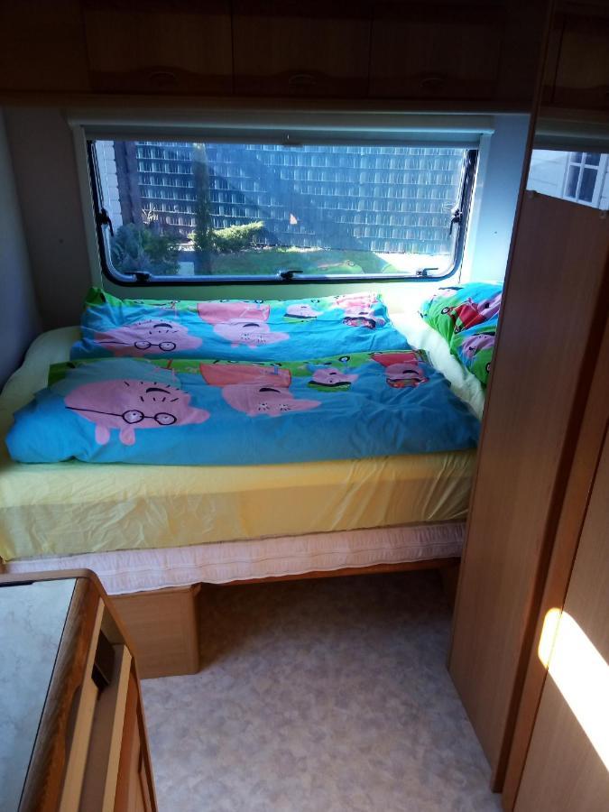 Urlaub Machen Direkt Am Irland Das Kinderparadies In Twisteden Im Grossen Garten Bei Privatleute Fur Maximal Sechs Personen Kevelaer Εξωτερικό φωτογραφία
